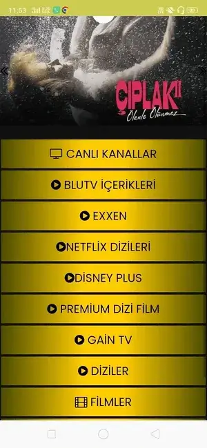 Netv gold v7 Ekran Çekimleri 3